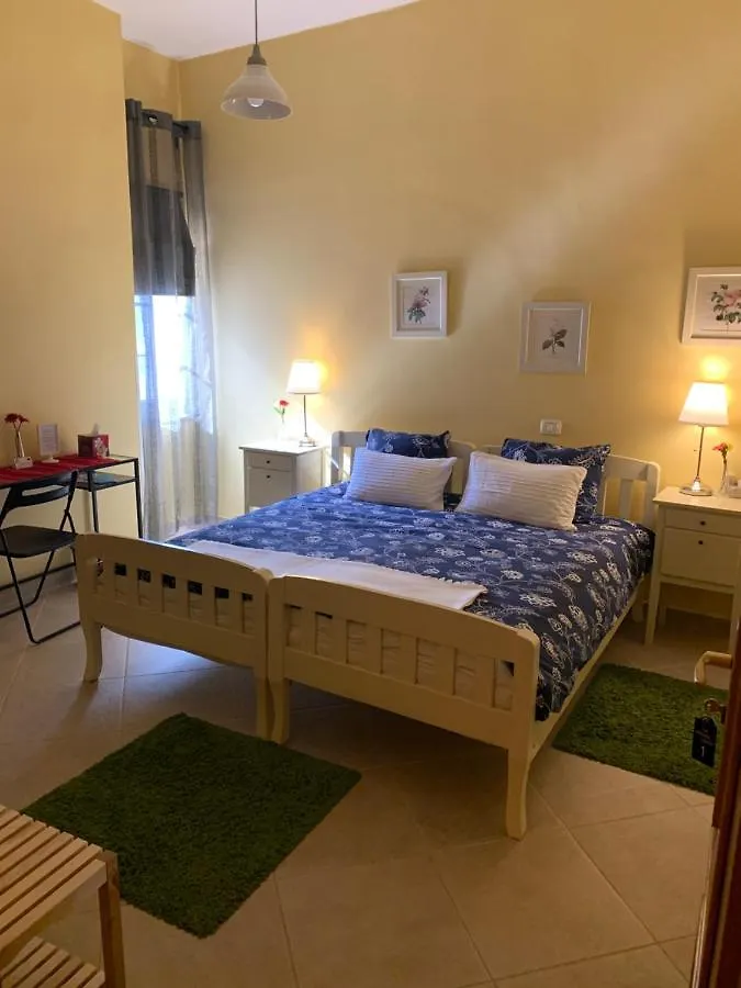 Stephen Center B&B ティラナ アルバニア